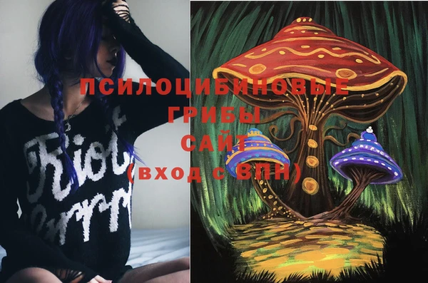 хмурый Вязники